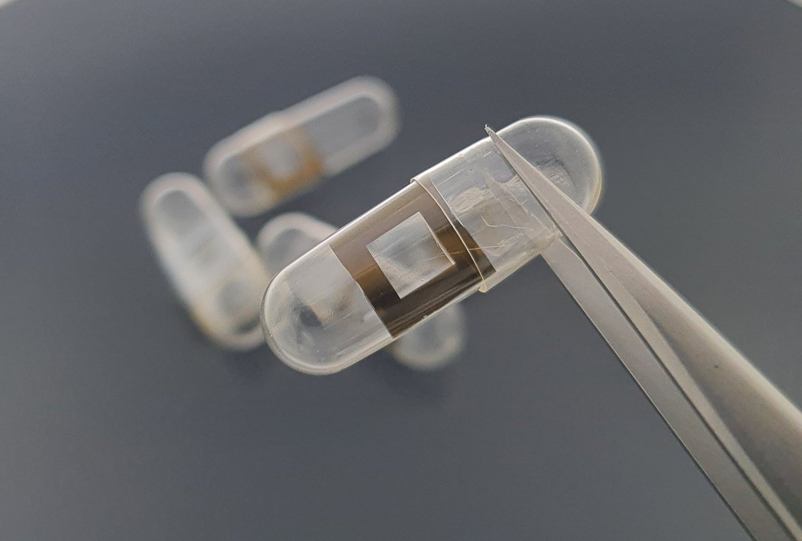 XFM and HERFD-XAS Studies of Selenium in Tissues and Whole Blood from Mice Supplemented with Potentially Therapeutic Selenocompounds