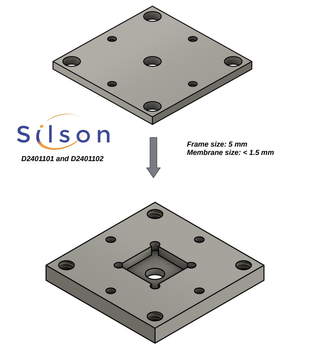 Silson - Liquid Environment Cells or In-Situ Cells